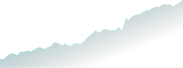 Vector